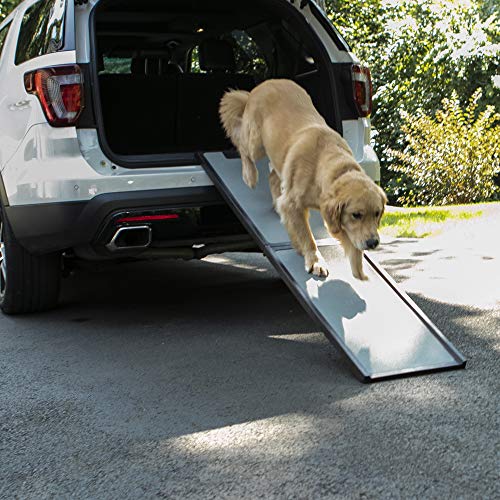 Gen7Pets Feather Lite Pet Ramp for Dogs and Cats