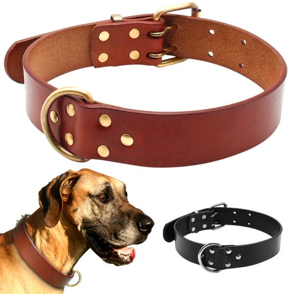 Luxury Best Genuine Leather Pet Dog Collars For Pit bull