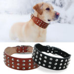 Cool Rivets Studded Best Genuine Leather Pet