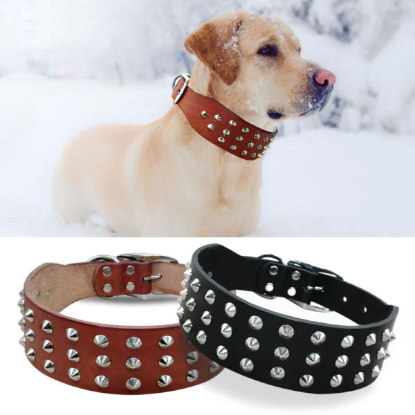 Cool Rivets Studded Best Genuine Leather Pet