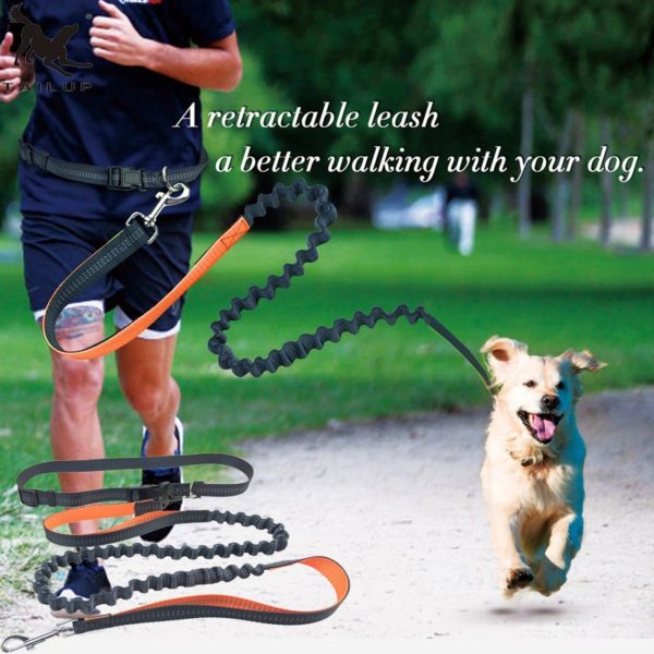 [TAILUP]Dog Leash Rope Running Elasticity