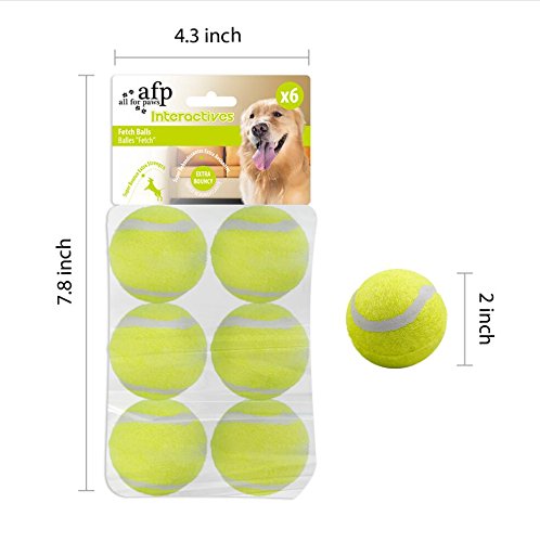 ALL FOR PAWS Hyperfetch Ultimate Throwing Toy