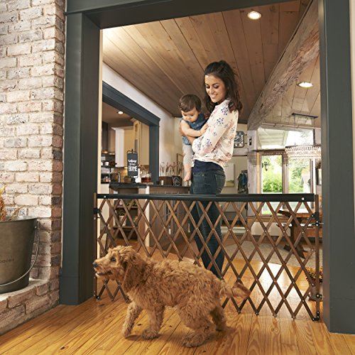 Evenflo Expansion Swing Wide Gate Extra-Wide Gate