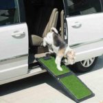 Gen7Pets Natural Premium Step Pet Ramp for Dogs and Cats