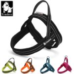 Truelove Soft Mesh Padded Nylon Dog Harness Vest