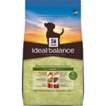 Hill'S Ideal Balance Adult Natural Dog Food