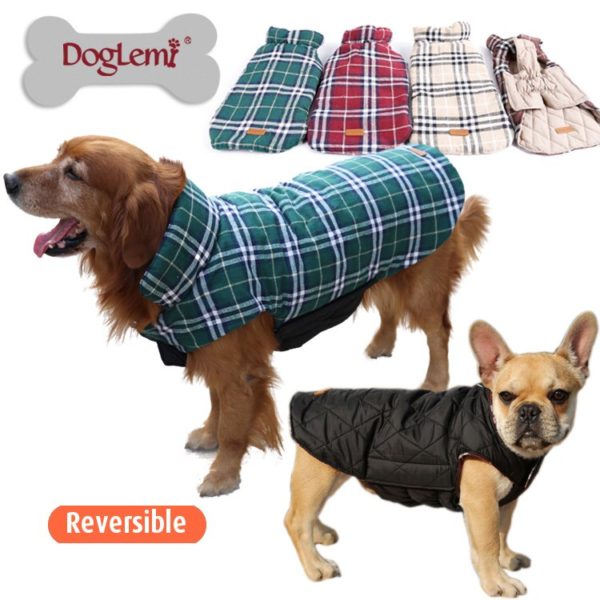 Windproof Reversible Golden Retriever Large Big Dog