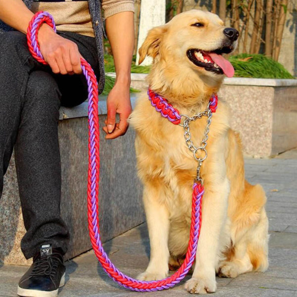 1 set Big Pet Dedicated Dog Leash And Collar Strands