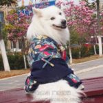 Cartoon Big large dog denim coat jacket