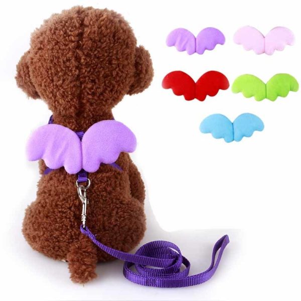 Cute Angel Pet Dog Leashes and Collars Set Puppy
