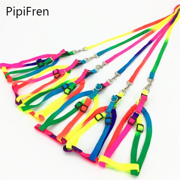 PipiFren Small Dog Collar Harness Leash For Cats
