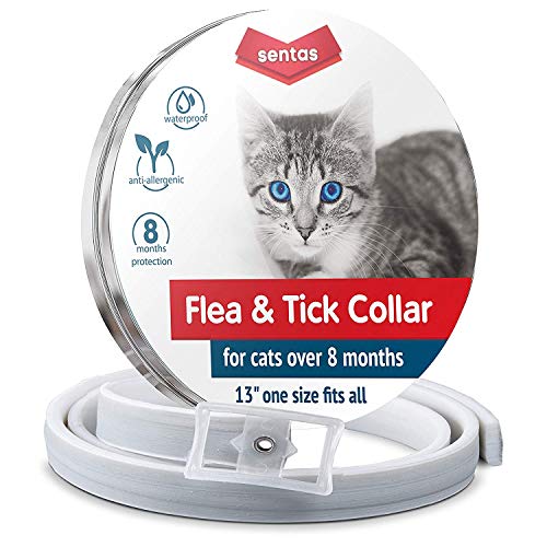 Flea and Tick Prevention for Cats | Cat Collar