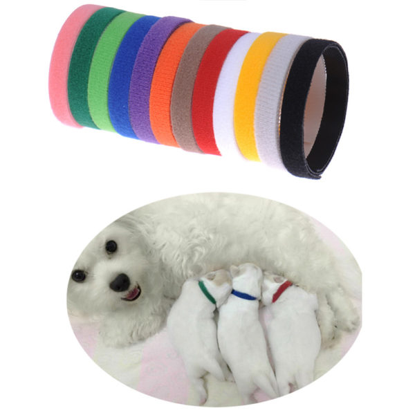 12Pcs Puppy ID Identification Collars Adjustable Nylon