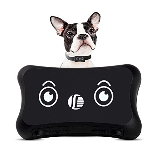 Pet GPS Tracker, Dog Activity Monitor Android/iPhone