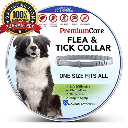 Premium Flea and Tick Collar for Dogs