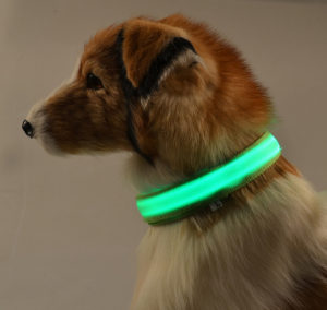 LED dog collar teddy leash harness cute pet