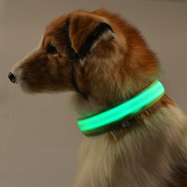 LED dog collar teddy leash harness cute pet