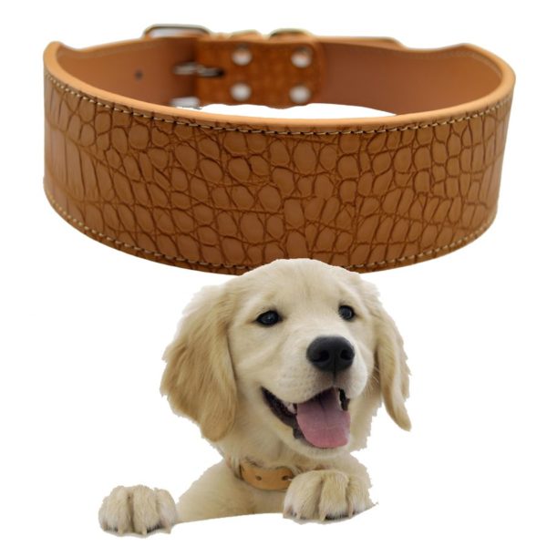 2 Inch Wide Croc Leather Dog Collar