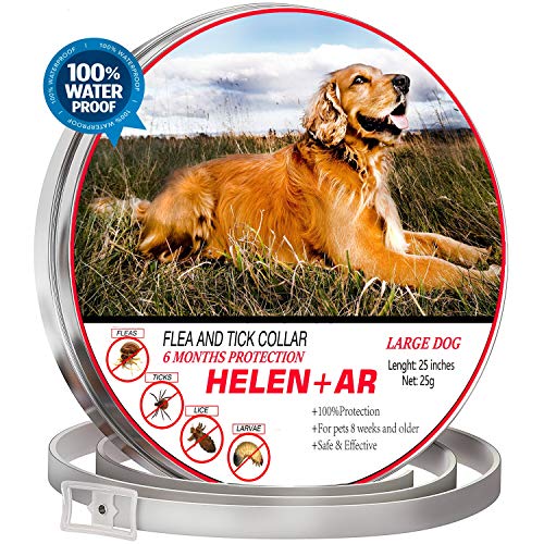 HELEN+AR Collar for Dogs, one Size fits All, Waterproof