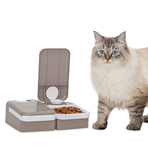 PetSafe 2-Meal Automatic Dog and Cat Feeder