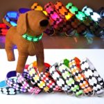 New Arrival Flashing Pet Dog led Shine