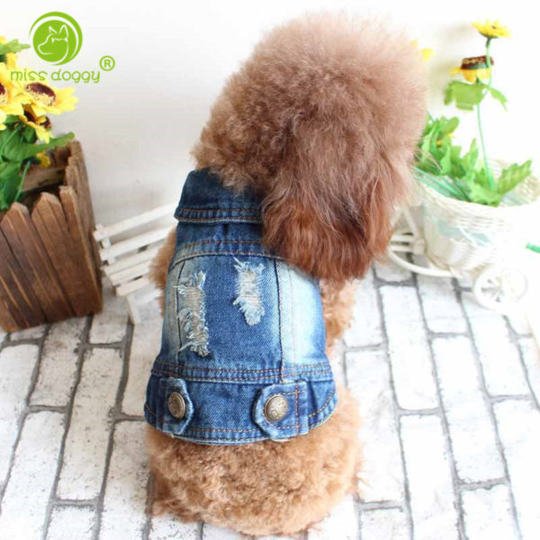 2017 Newest Holes Dog Jacket Pet Clothes