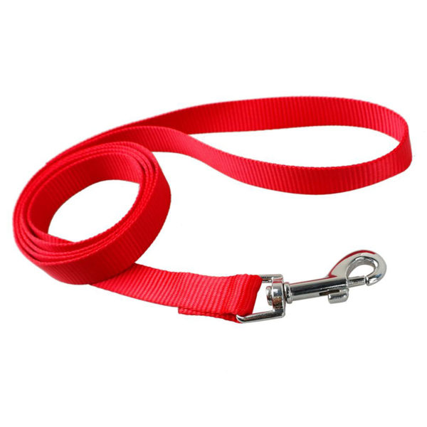 High Quality Solid Cat Walk The Dog Collar Leash For Dogs