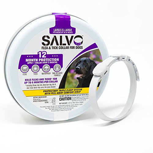 SALVO Flea & Tick Waterproof, Durable Collar for Dogs