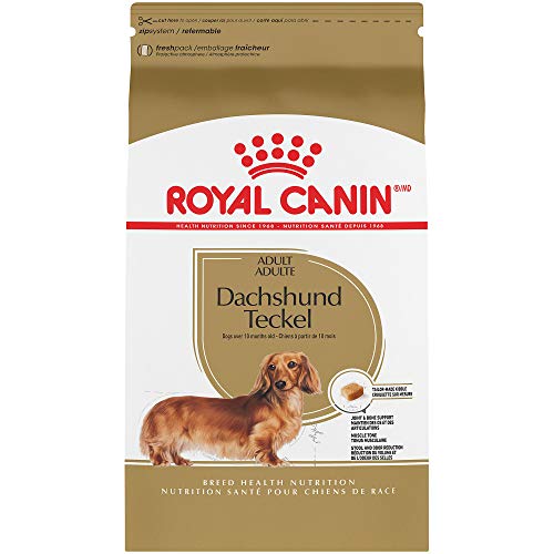 Canin Breed Health Nutrition Dachshund Adult Dry Dog Food