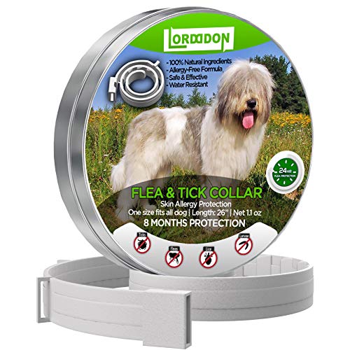 LorddDon⭐⭐⭐⭐⭐ Flea and Tick Prevention Collar