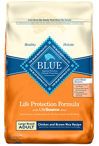 Blue Buffalo Life Protection Formula Large Breed Dog Food