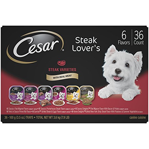 Cesar Adult Wet Dog Food Steak Lover’S Variety Pack