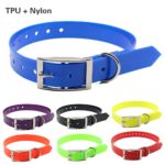 New Fashion pet dog collar High quality