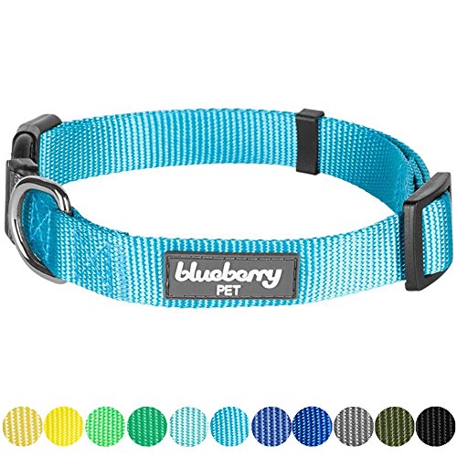 Blueberry Pet 32 Colors Classic Dog Collar