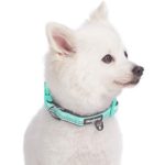 Blueberry Pet 6 Colors Soft & Comfy 3M Reflective