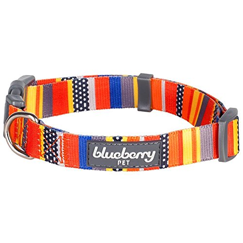Blueberry Pet 8 Patterns Nautical Flags Inspired Designer