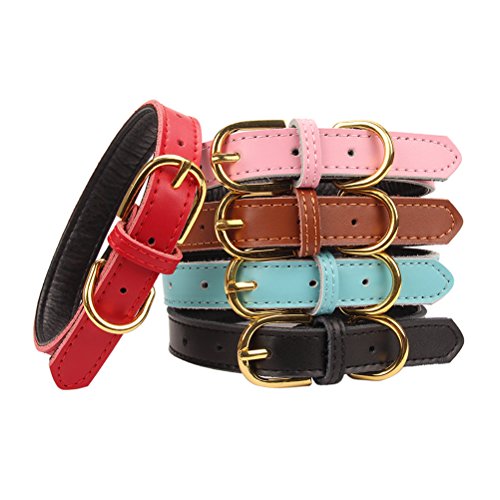 AOLOVE Basic Classic Padded Leather Pet Collars