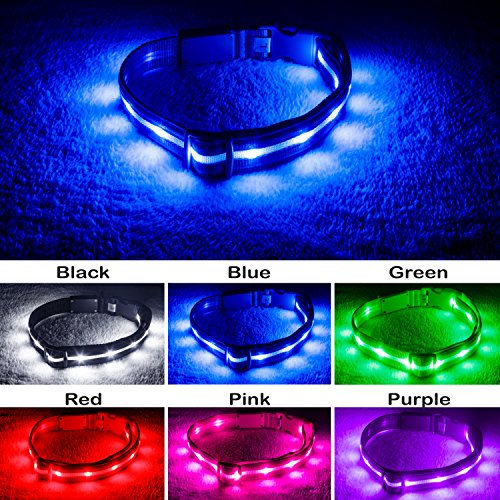 Blazin' Safety LED Dog Collar – USB Rechargeable