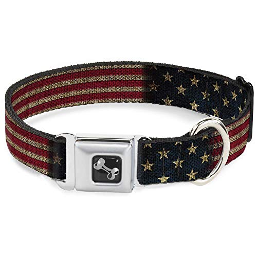 Buckle-Down Seatbelt Buckle Dog Collar