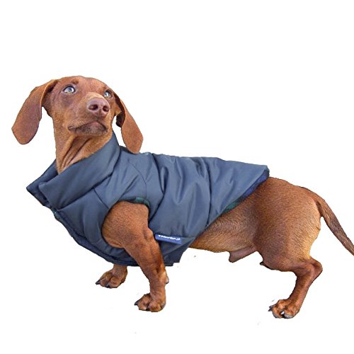 DJANGO Puffer Dog Jacket and Reversible