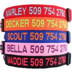 Personalized Dog Collar, Custom Collars Embroidered