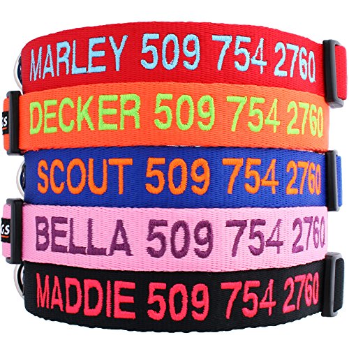 Personalized Dog Collar, Custom Collars Embroidered