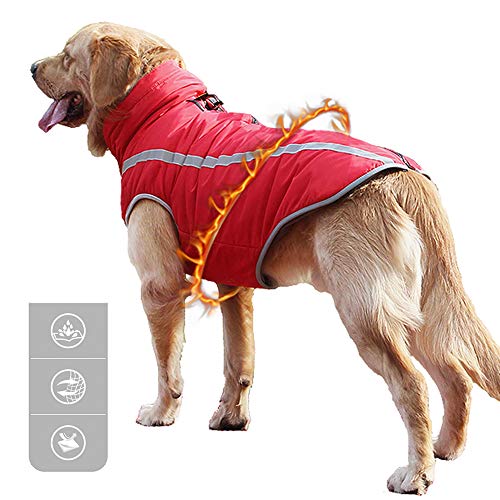 Green House Dog Reflective Winter Jackets Best ⋆ PetSep.com