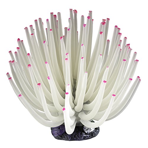 Tetra ColorFusion Lighted Décor Blooming Anemone