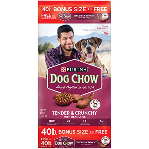 Purina Dog Chow Tender & Crunchy With Real Lamb