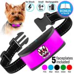 Small Dog Bark Collar Rechargeable - Anti Barking