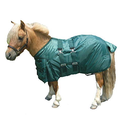 Intrepid International Miniature Horse Turnout Blanket