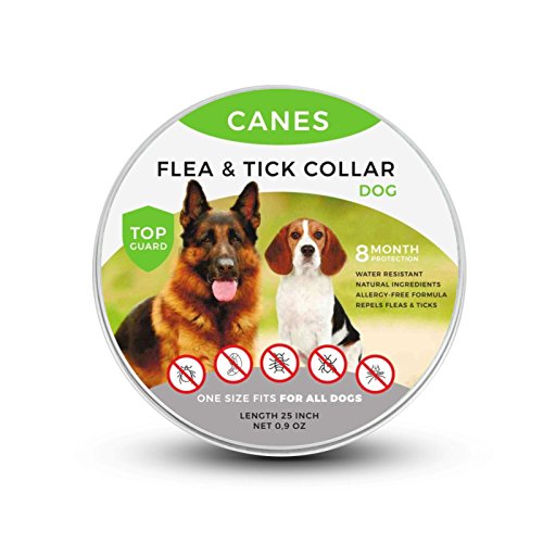 Canes Trade Flea and Tick Prevention for Dogs