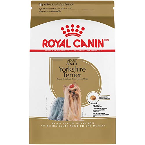Royal Canin Breed Health Nutrition Yorkshire Terrier