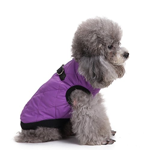 SMALLLEE_LUCKY_STORE-purple-XS Vest Jacket Dog